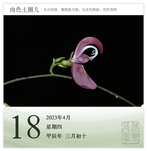 箴历日历4-18.png